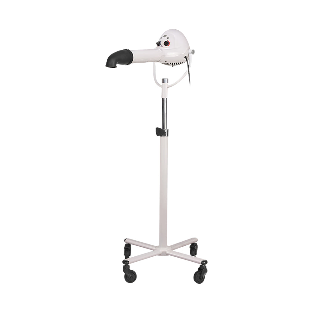 ไดร์ร้อนแบบขาตั้ง Aeolus TD-906 สีขาว