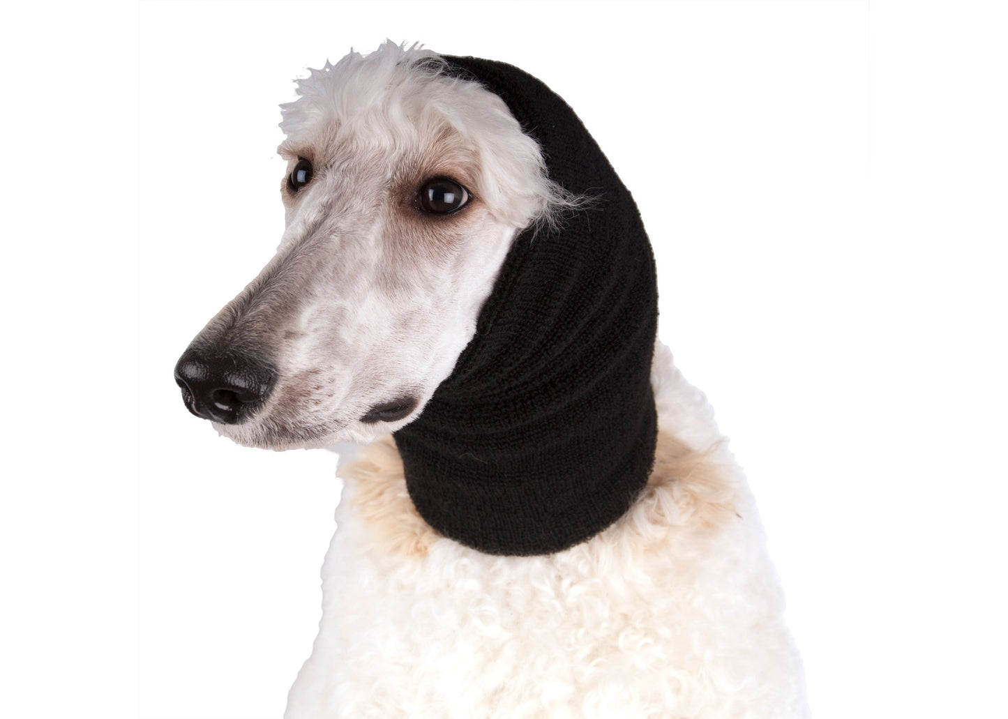 ผ้าปิดหู Show Tech Ear Buddy ขนาด ใหญ่