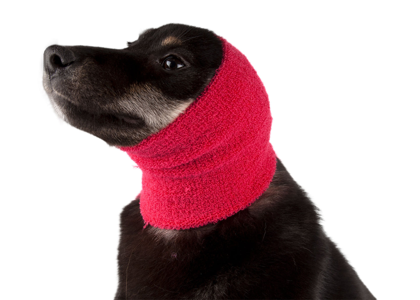 ผ้าปิดหู Show Tech Ear Buddy ขนาด เล็ก