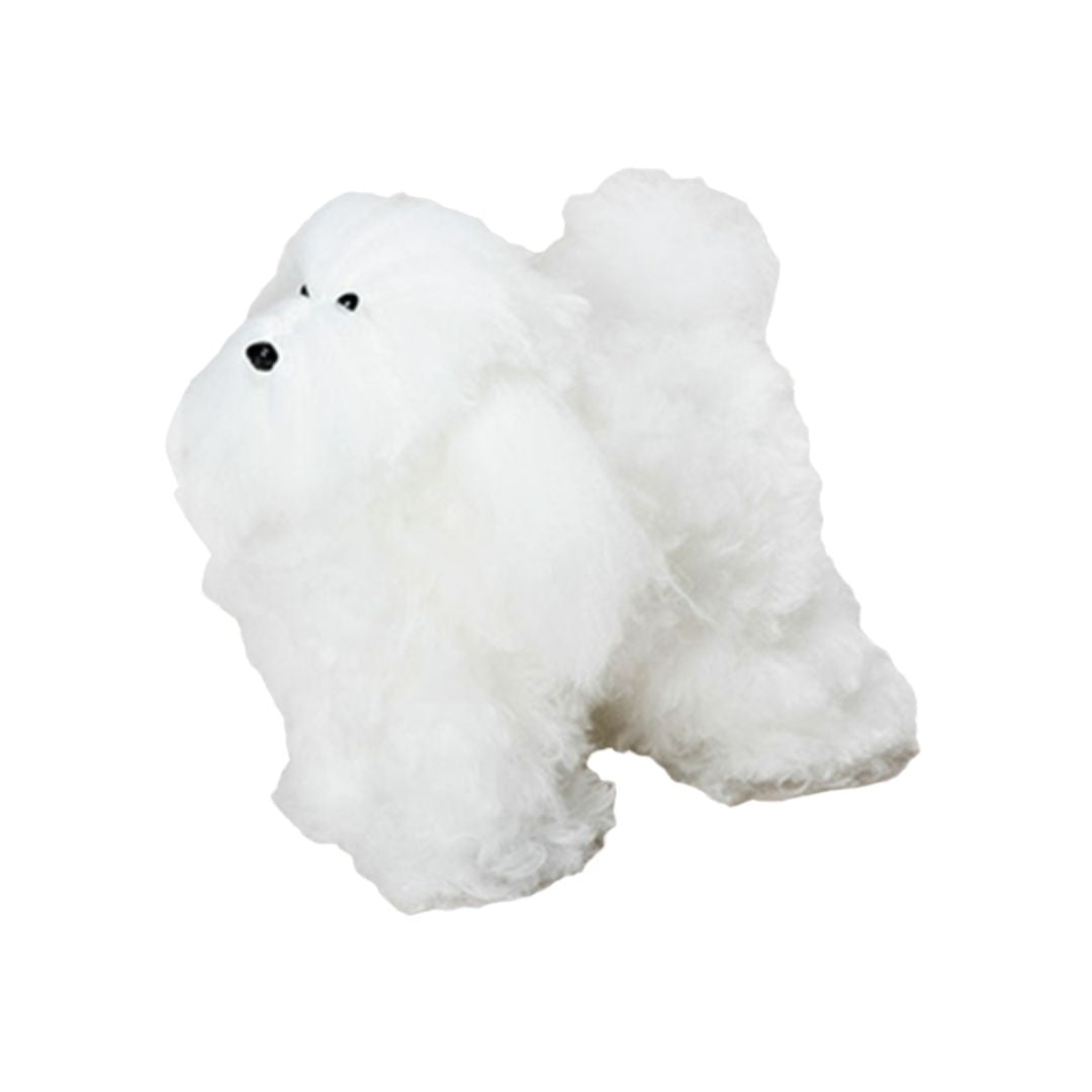 PETOS ขน Bichon  Model Dog สำหรับฝึกตัดขน