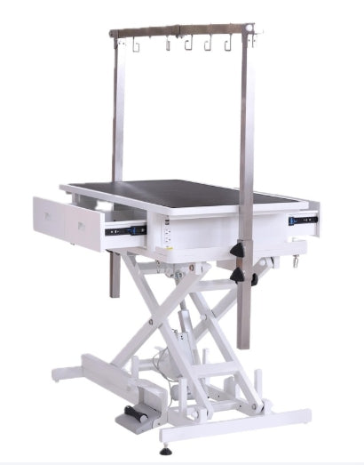โต๊ะอาบน้ำแบบยกไฟฟ้า รหัส FT 808 DWR PRO OA