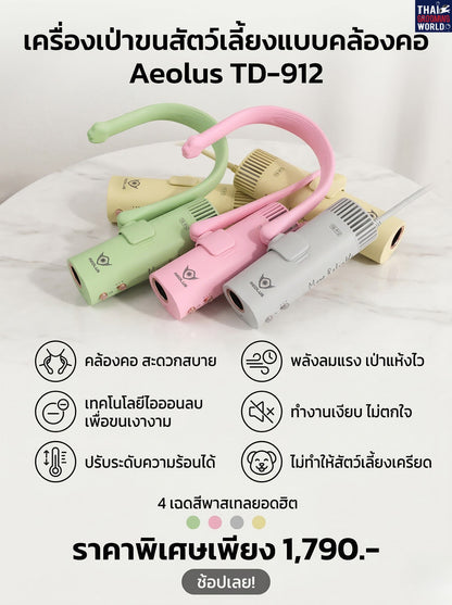 ไดร์ร้อนแบบแขวนคอ Aeolus TD-912