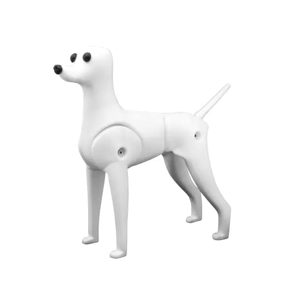 หมาหุ่น Teddy Bear Mannequin+ หัวหุ่น RMD-6101B / RMG-6101-KIT